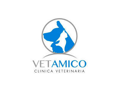 Zato - Mad project 63